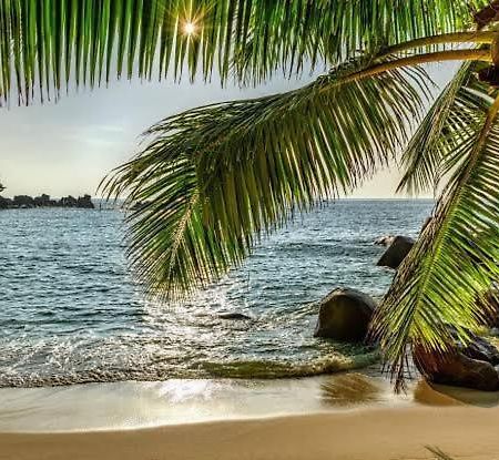 Baga Beach Palms Exteriér fotografie